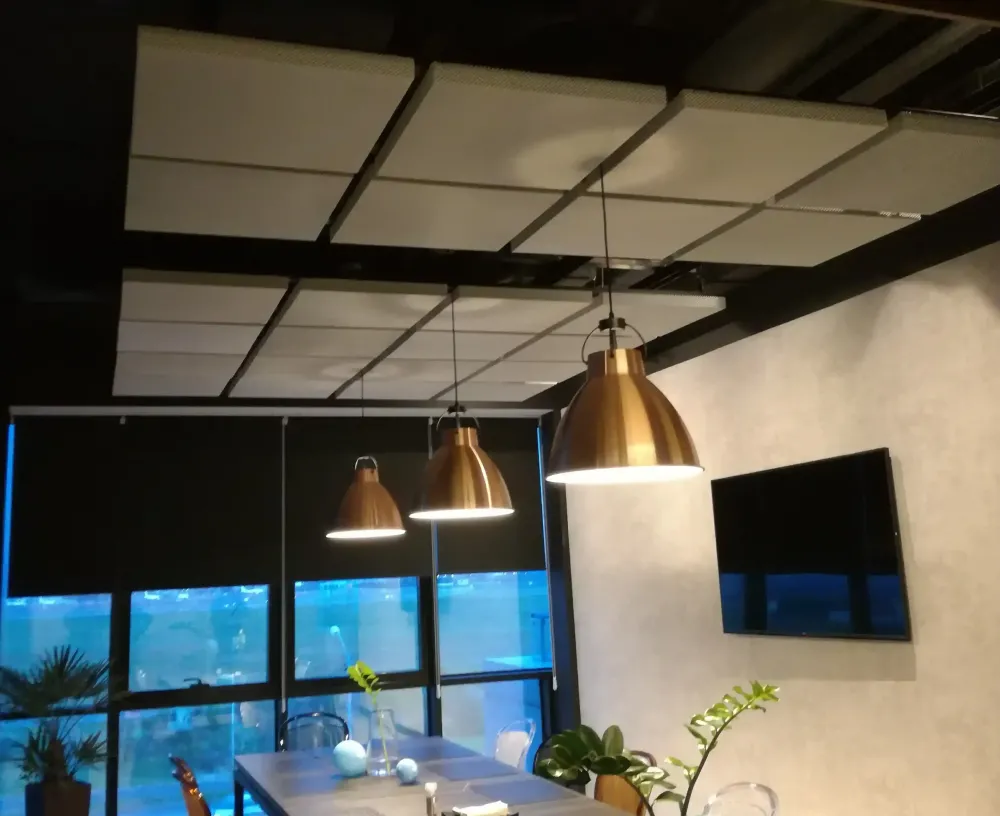 Acoustic treatment in a modern open-plan office