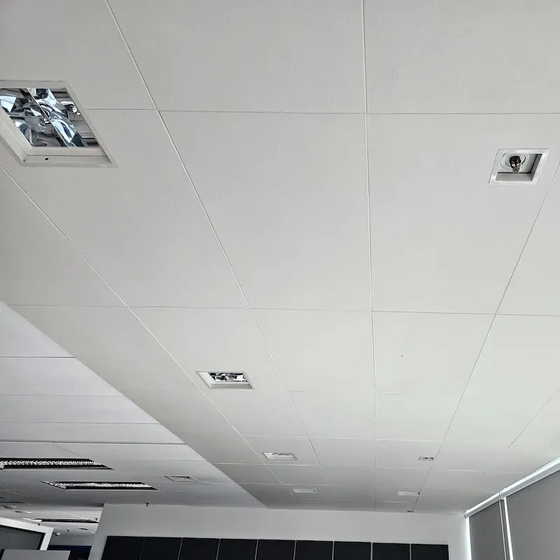 Acoustic Treatment of Amadeus Offices in the Vertigo Building