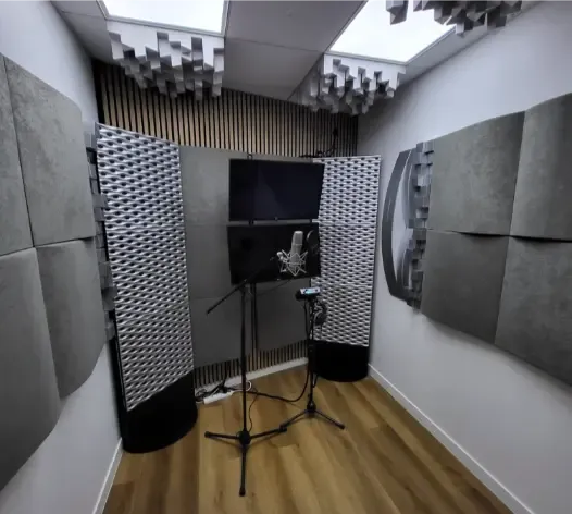 Acoustic Redesign of a TV Studio in France