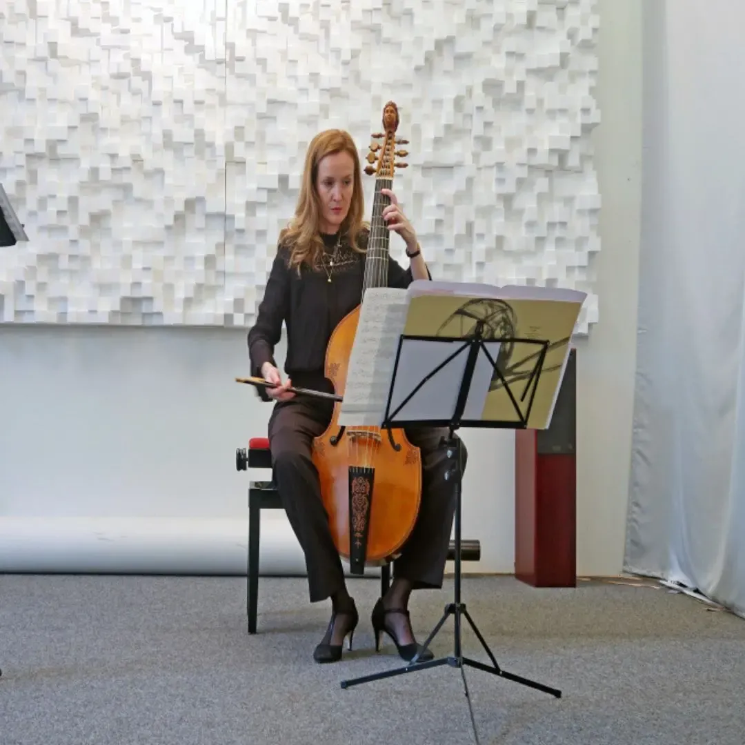 Acoustic treatment of а concert venue, Switzerland