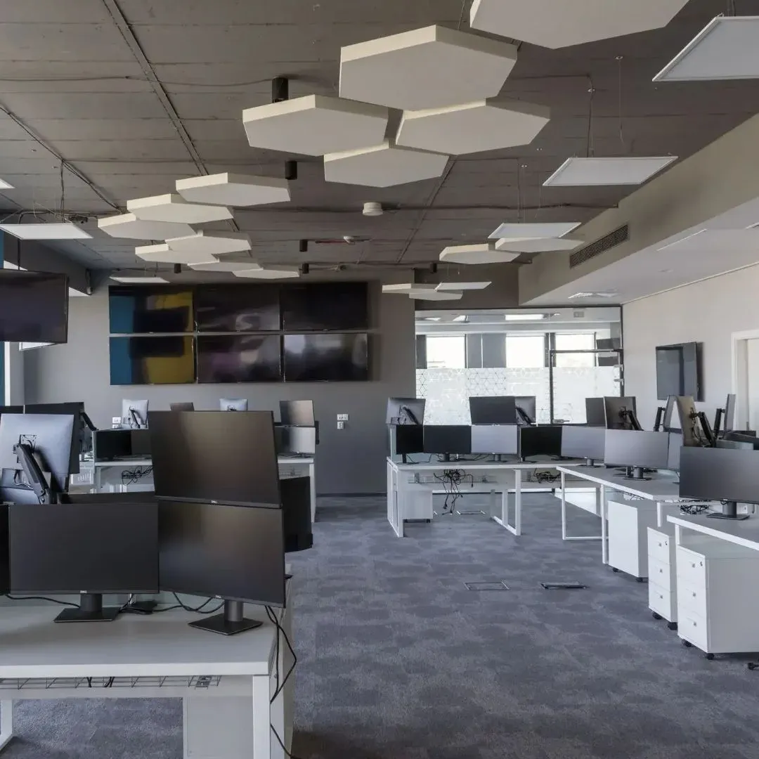 Acoustic panels installed in vibrant office