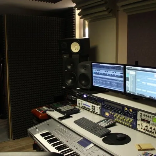 Acoustic Treatment of Avocal Music Studio