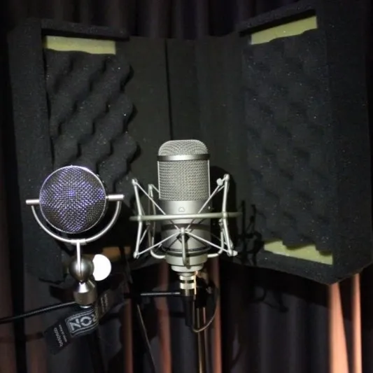 Acoustic Treatment of Avocal Music Studio