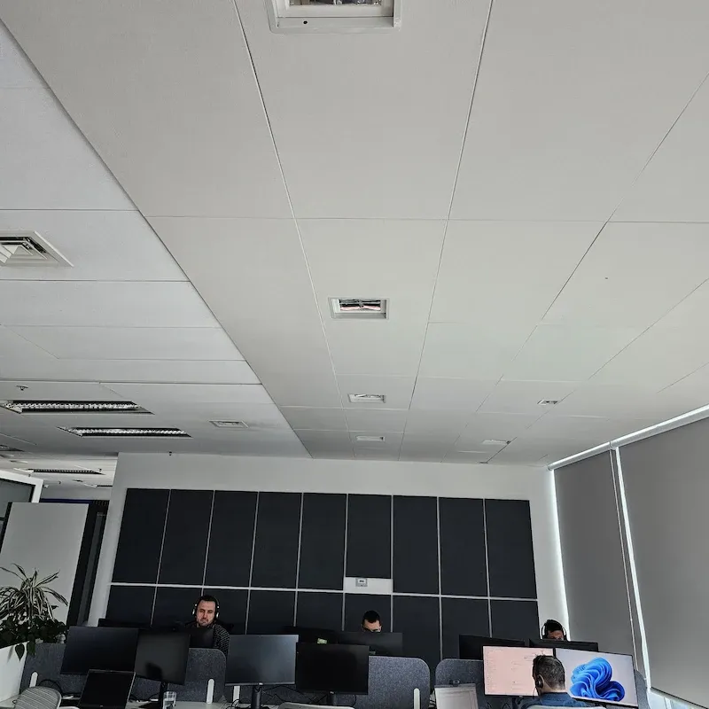 Acoustic Treatment of Amadeus Offices in the Vertigo Building