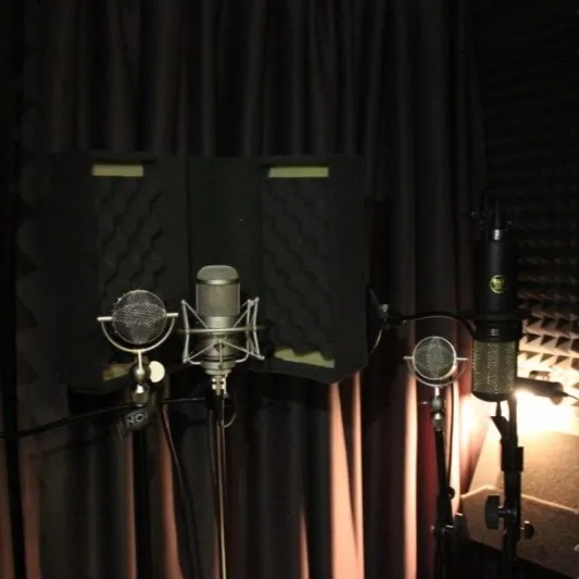 Acoustic Treatment of Avocal Music Studio